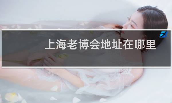 上海老博会地址在哪里
