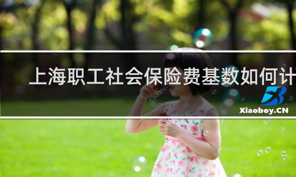上海职工社会保险费基数如何计算