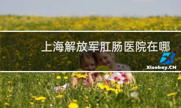 上海解放军肛肠医院在哪