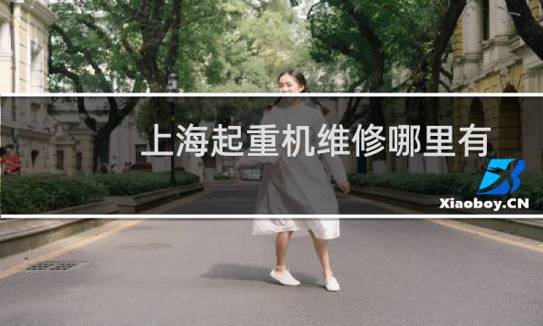 上海起重机维修哪里有