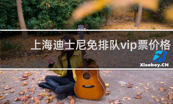 上海迪士尼免排队vip票价格