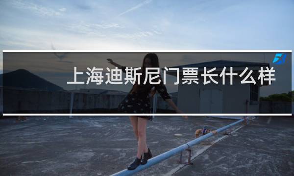 上海迪斯尼门票长什么样