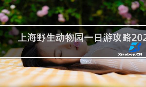 上海野生动物园一日游攻略2021