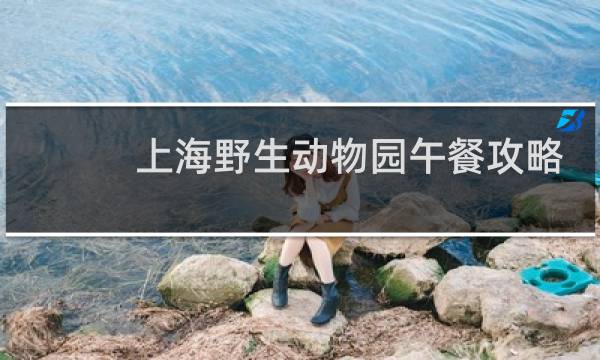 上海野生动物园午餐攻略
