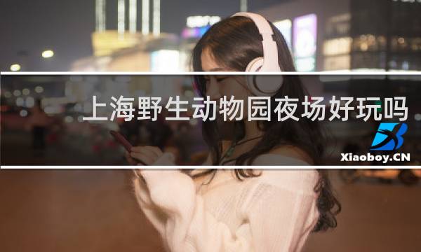 上海野生动物园夜场好玩吗