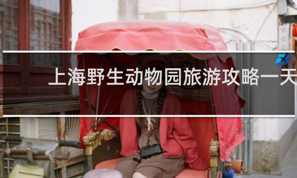 上海野生动物园旅游攻略一天