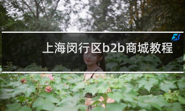 上海闵行区b2b商城教程