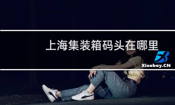 上海集装箱码头在哪里