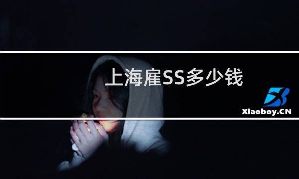 上海雇SS多少钱