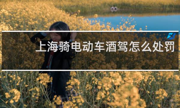 上海骑电动车酒驾怎么处罚