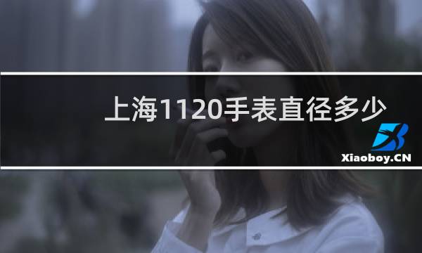 上海1120手表直径多少