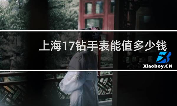 上海17钻手表能值多少钱