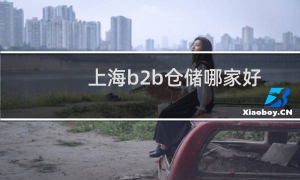 上海b2b仓储哪家好