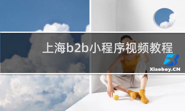 上海b2b小程序视频教程