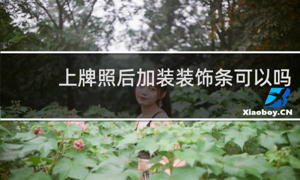 上牌照后加装装饰条可以吗