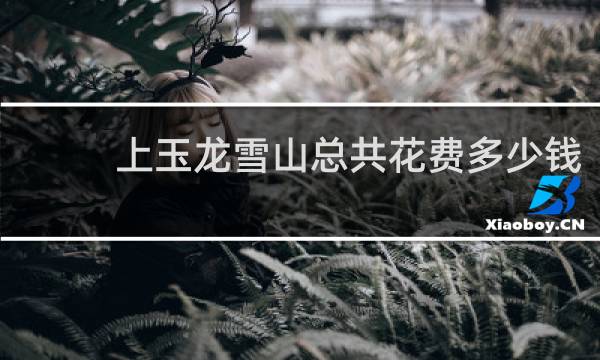 上玉龙雪山总共花费多少钱