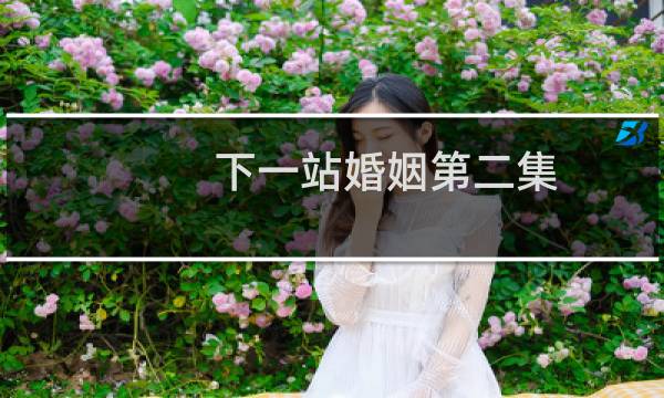 下一站婚姻第二集