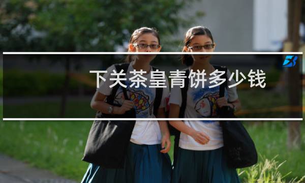 下关茶皇青饼多少钱