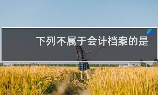 下列不属于会计档案的是