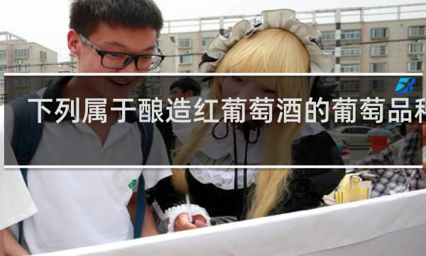 下列属于酿造红葡萄酒的葡萄品种是