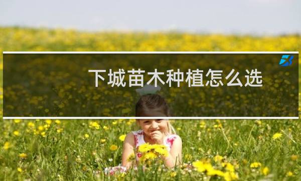 下城苗木种植怎么选