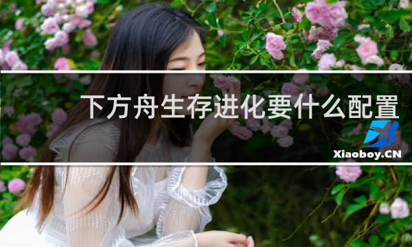 下方舟生存进化要什么配置