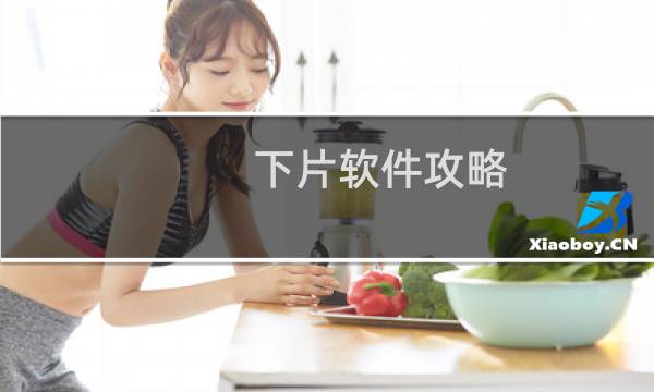 下片软件攻略