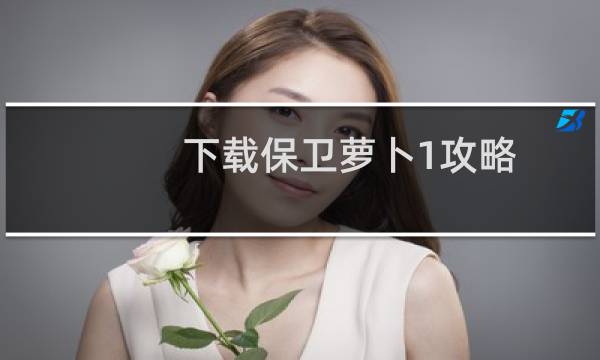 下载保卫萝卜1攻略