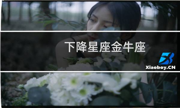下降星座金牛座