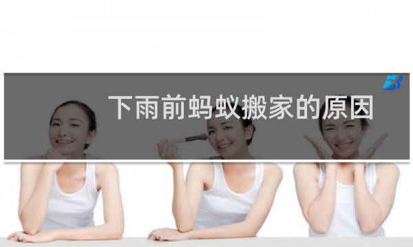 下雨前蚂蚁搬家的原因