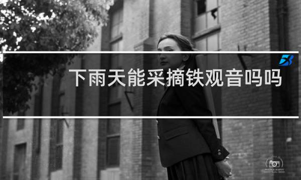 下雨天能采摘铁观音吗吗