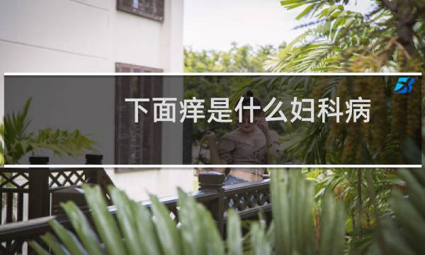 下面痒是什么妇科病