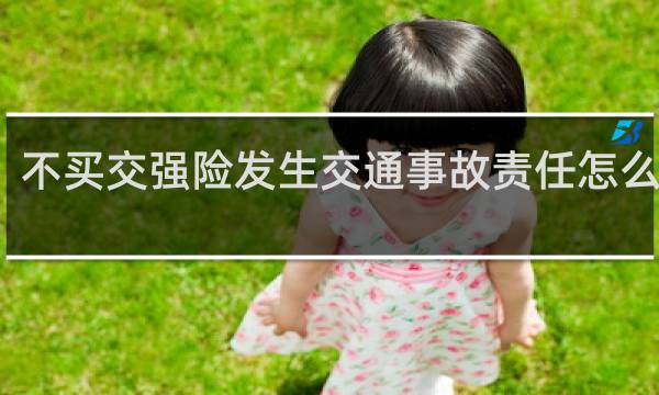 不买交强险发生交通事故责任怎么划分