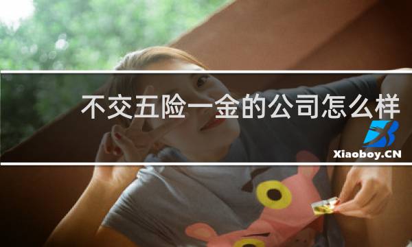 不交五险一金的公司怎么样