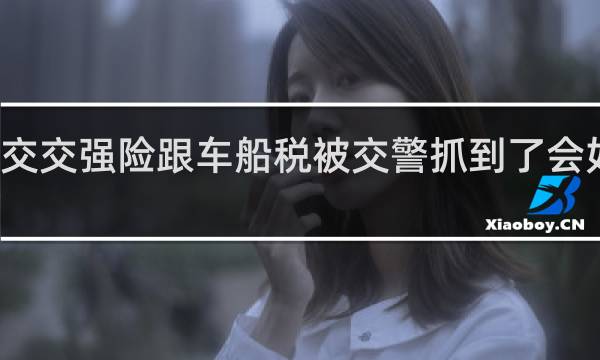 不交交强险跟车船税被交警抓到了会如何处罚