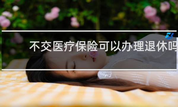 不交医疗保险可以办理退休吗