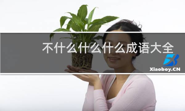不什么什么什么成语大全