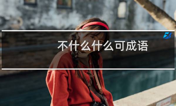 不什么什么可成语
