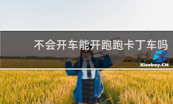 不会开车能开跑跑卡丁车吗