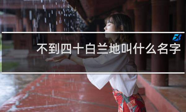 不到四十白兰地叫什么名字