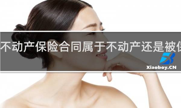 不动产保险合同属于不动产还是被保险人