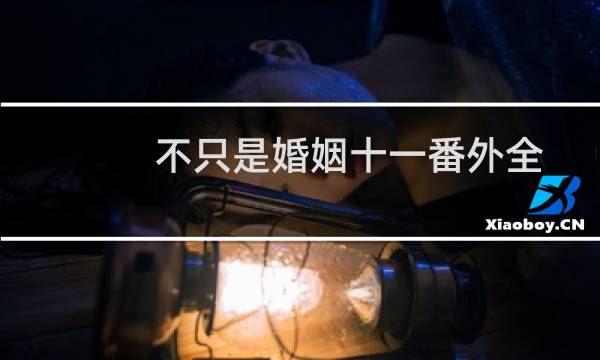 不只是婚姻十一番外全