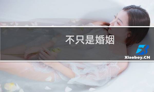 不只是婚姻