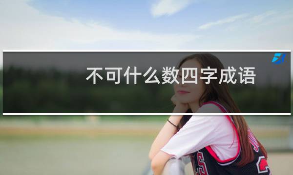 不可什么数四字成语