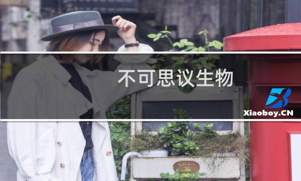 不可思议生物 攻略