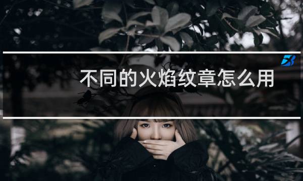 不同的火焰纹章怎么用