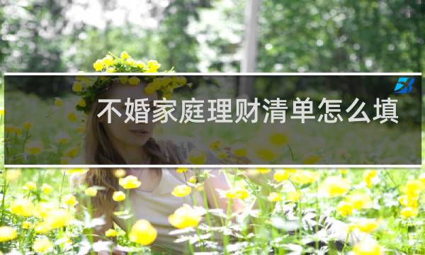 不婚家庭理财清单怎么填