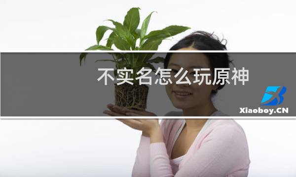 不实名怎么玩原神