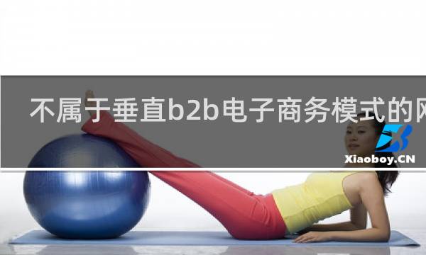 不属于垂直b2b电子商务模式的网站