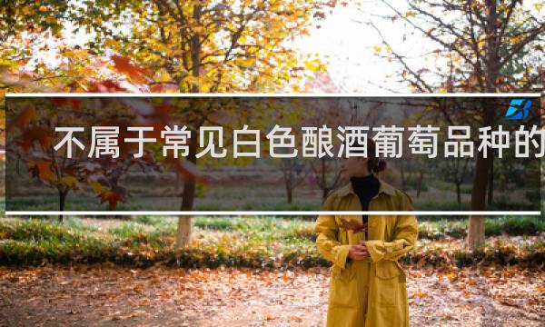 不属于常见白色酿酒葡萄品种的是